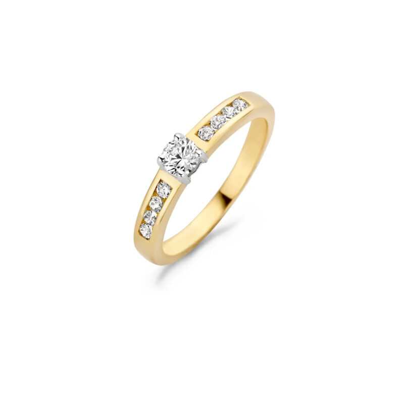 Blush Damen Ring mit Zirkonia Größe 54 585er Gold und Weißgold 1125BZI/54