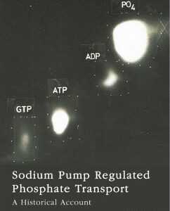 Sodium Pump Regulated Phosphate Transport