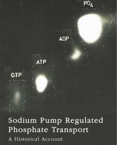 Sodium Pump Regulated Phosphate Transport (eBook, PDF)