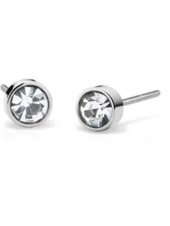 Arctic Symphony silber  Petite Earrings