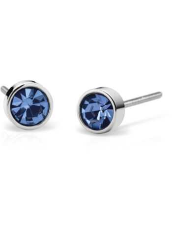 Arctic Symphony silber  Petite Earrings