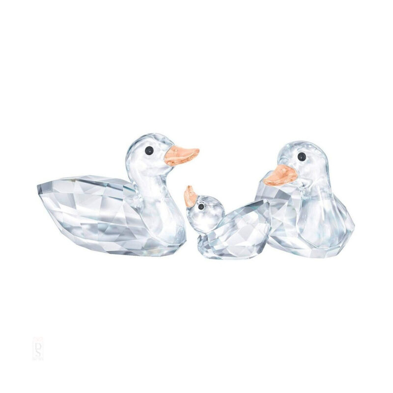 Swarovski ENTEN 5376422