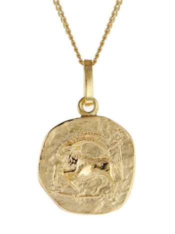 trendor 15022-01 Kinder-Halskette mit Sternzeichen Steinbock 333/8K Gold